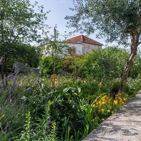 Apartments By The Sea Sumartin, Brac - 2937 * Sumartin